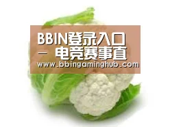 产品名称九