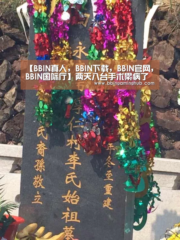 BBIN真人，BBIN下载，BBIN官网，BBIN国际厅