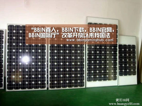 “BBIN真人,BBIN下载,BBIN官网,BBIN国际厅”改革开放以来我国法治建设的宝贵经验_时事政治_中公教育网(图2) BBIN真人,BBIN下载,BBIN官网,BBIN国际厅