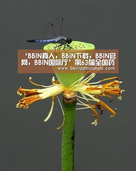 BBIN真人，BBIN下载，BBIN官网，BBIN国际厅