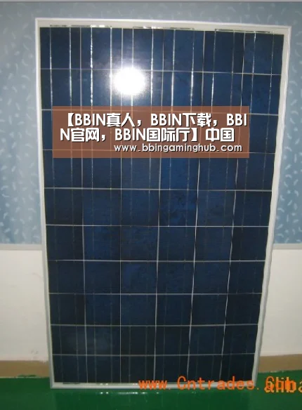 BBIN真人，BBIN下载，BBIN官网，BBIN国际厅