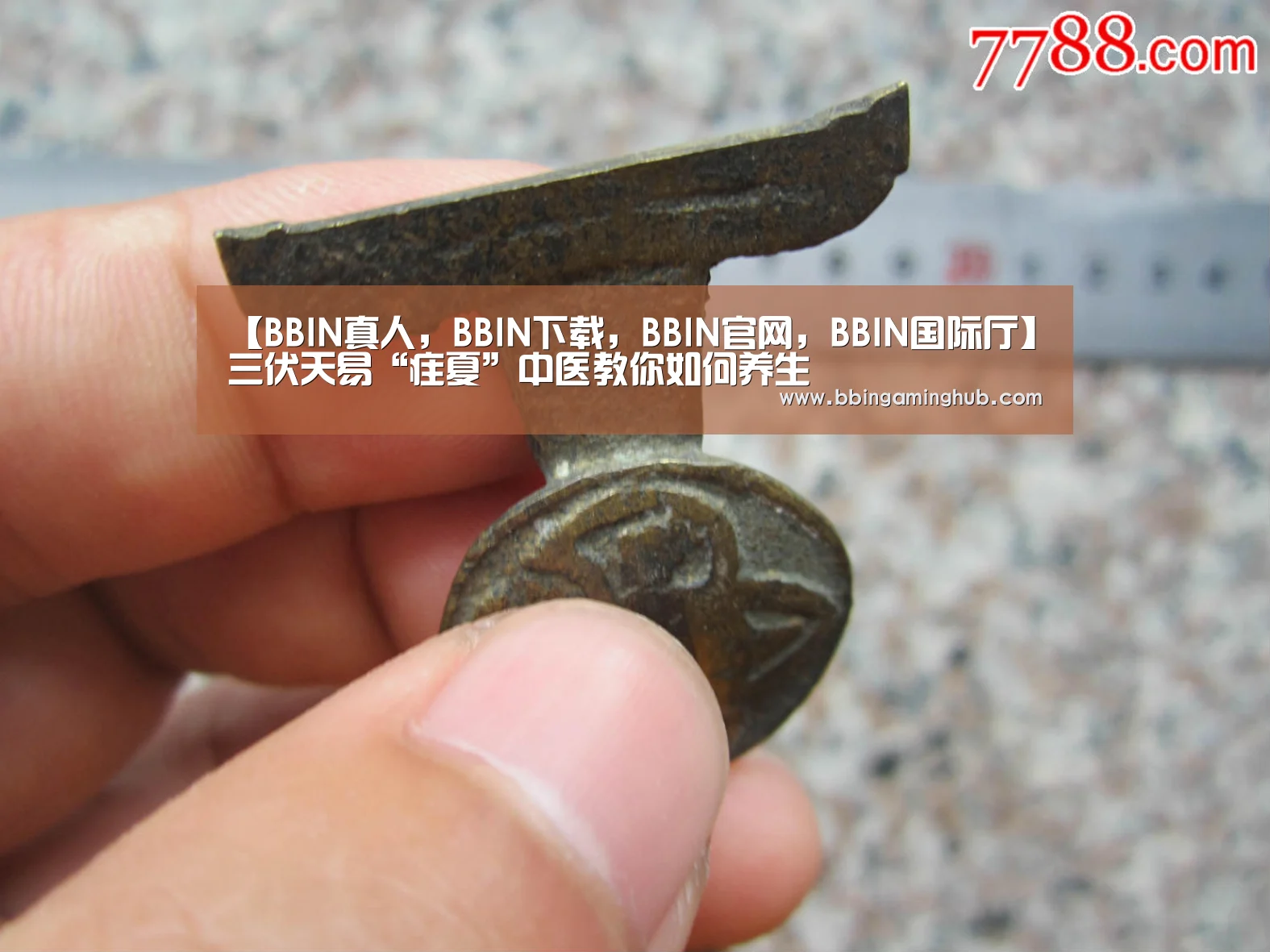 BBIN真人，BBIN下载，BBIN官网，BBIN国际厅