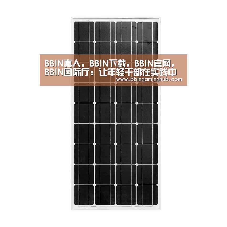 BBIN真人，BBIN下载，BBIN官网，BBIN国际厅