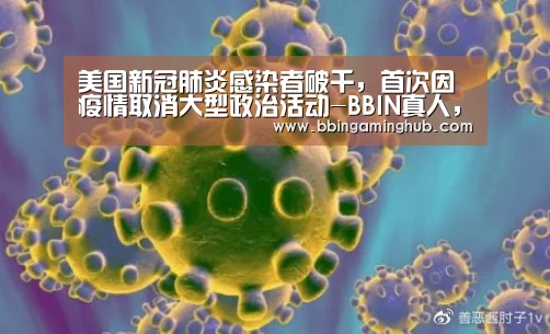 BBIN真人，BBIN下载，BBIN官网，BBIN国际厅